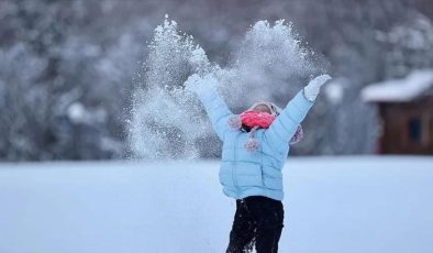 Van’da eğitime bir gün ara verildiği açıklandı